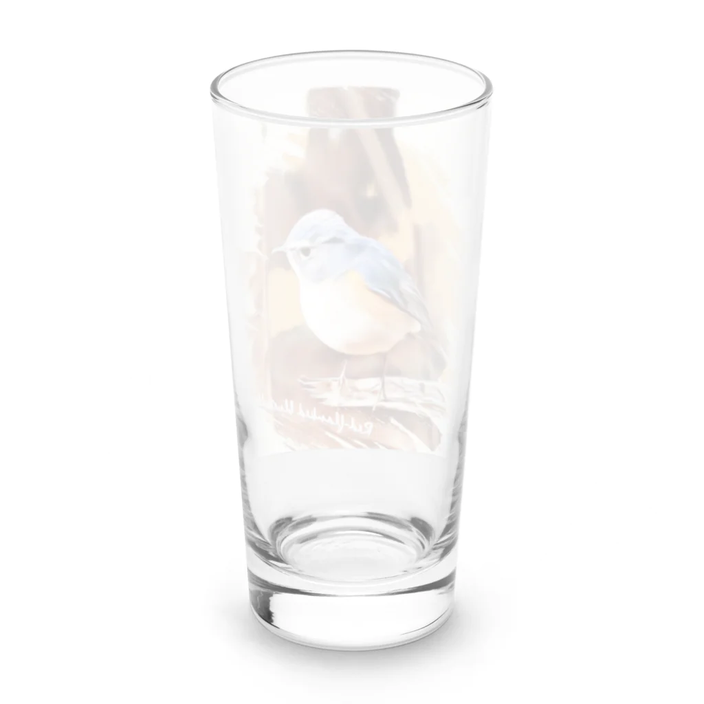 jun-hoshiのルリビタキ ♂ Long Sized Water Glass :back