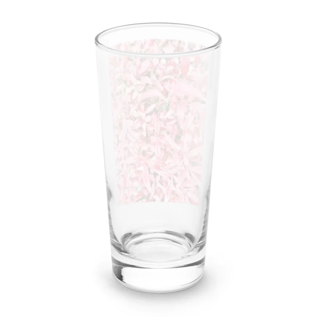 soraruriの愛紅 Aiku -NO.1- Long Sized Water Glass :back