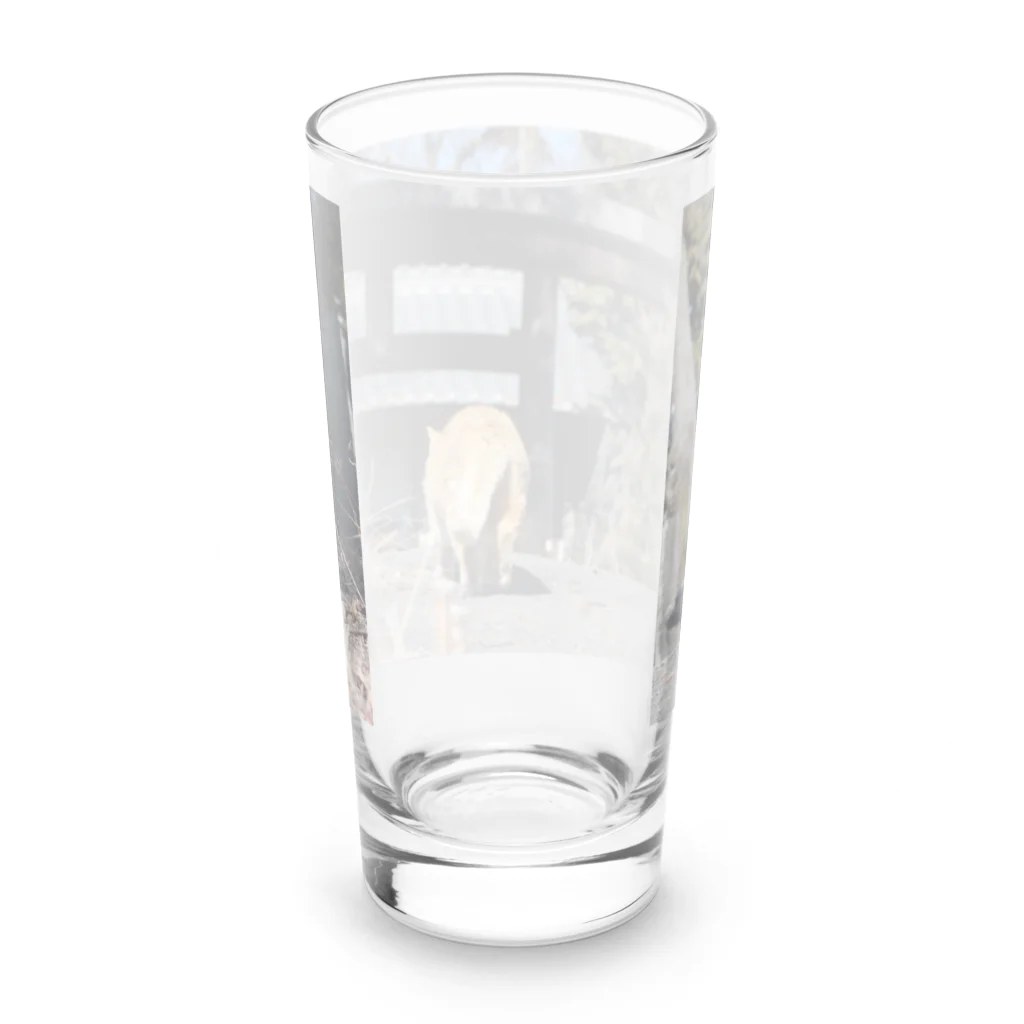 Laylandのねことじんじゃ Long Sized Water Glass :back