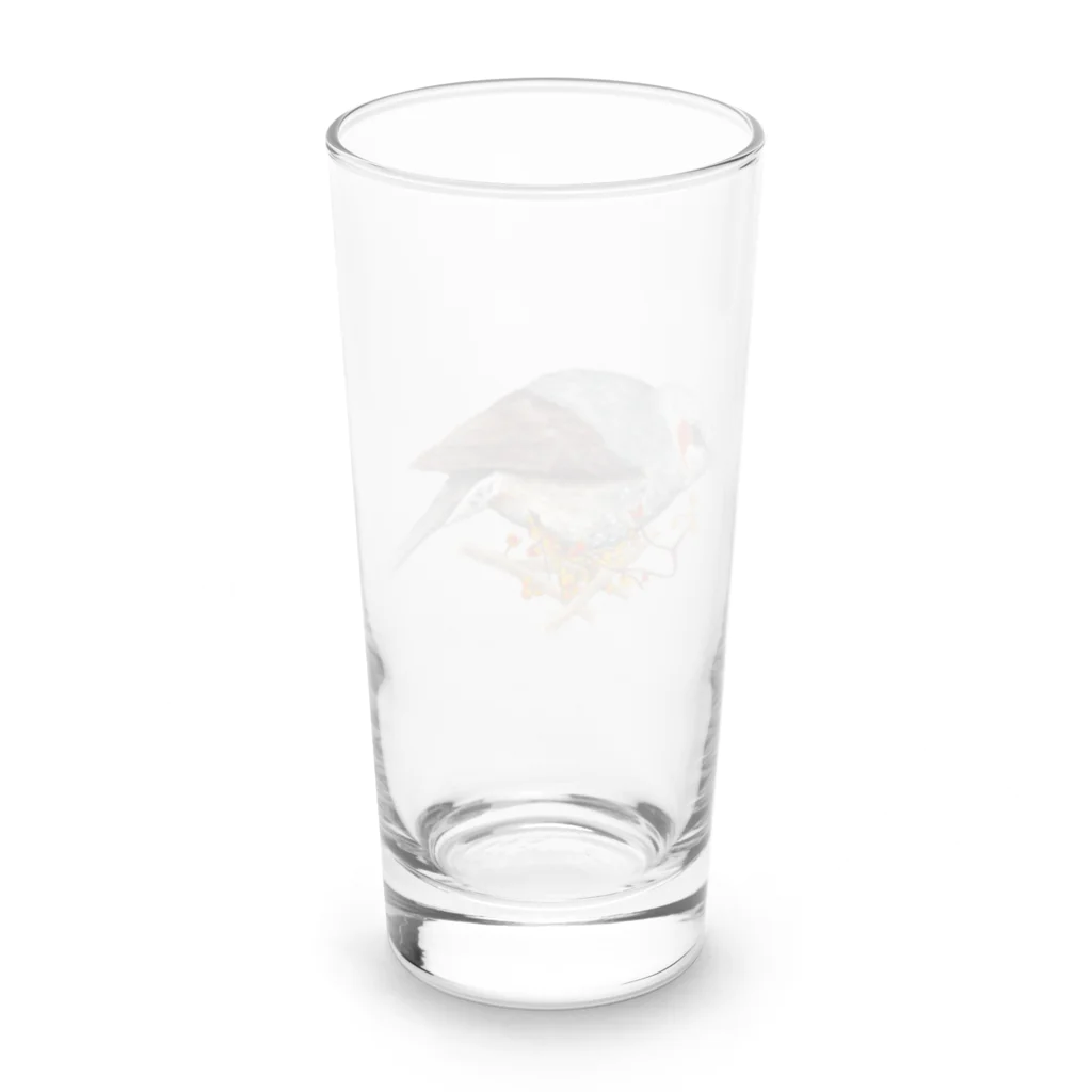 森図鑑の[森図鑑] ヒヨドリとツルウメモドキ Long Sized Water Glass :back