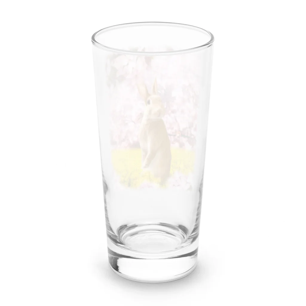 うさぎのうみちゃんねるショップのお花見うさぎ-うさぎのうみ Long Sized Water Glass :back