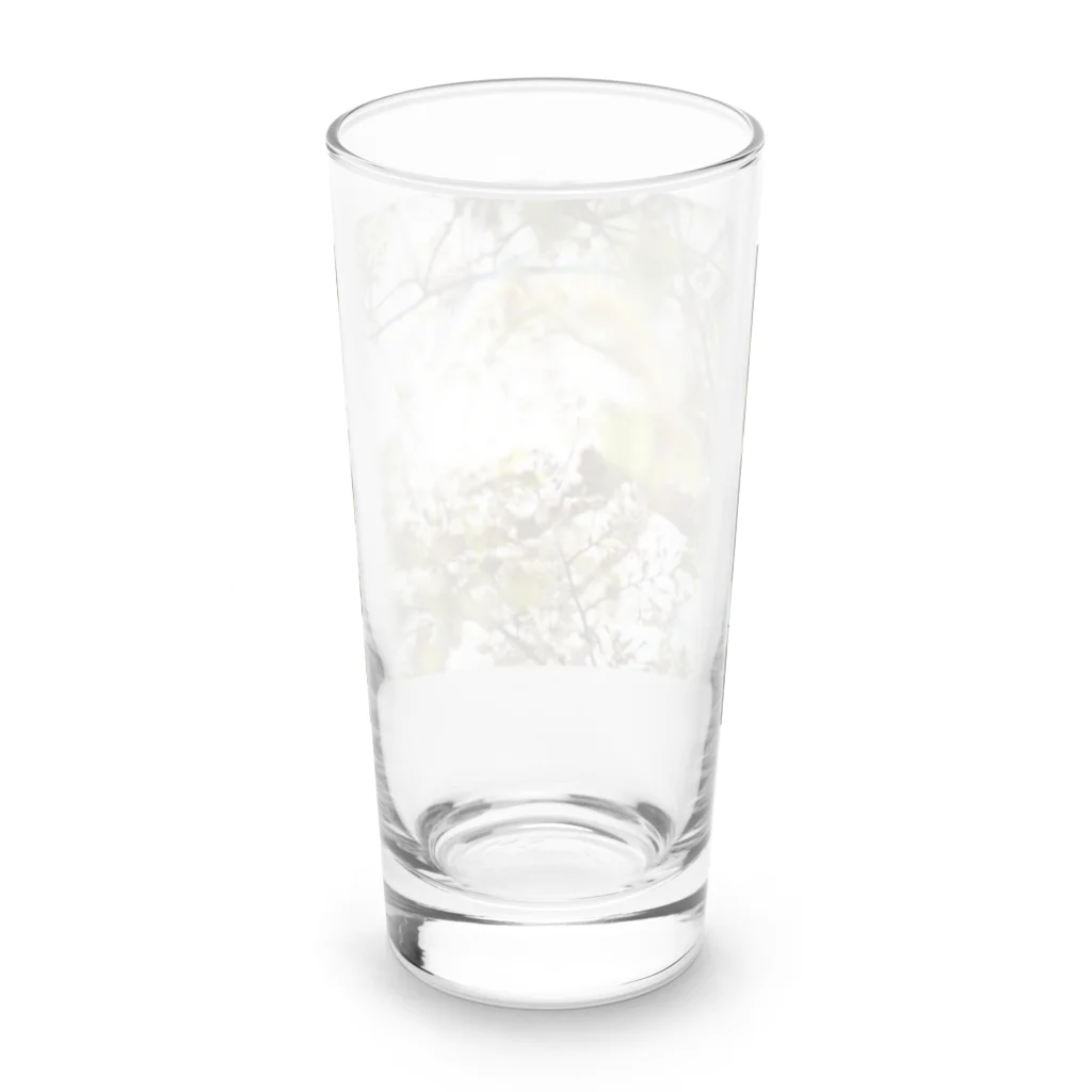 いぐのしんの桜と光 Long Sized Water Glass :back