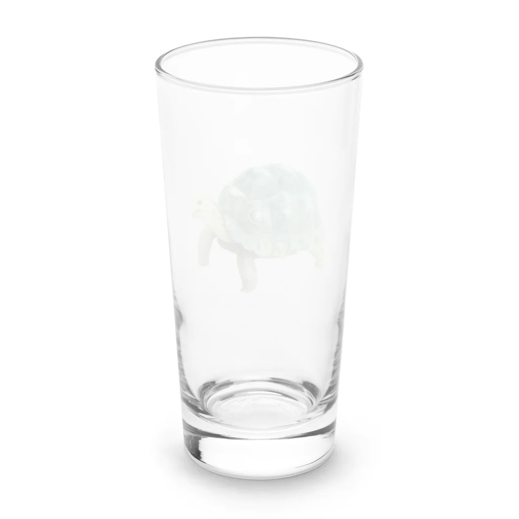 めろんぽっぷのお店だよの踏みだせ、アルダブラゾウガメ 。 Long Sized Water Glass :back