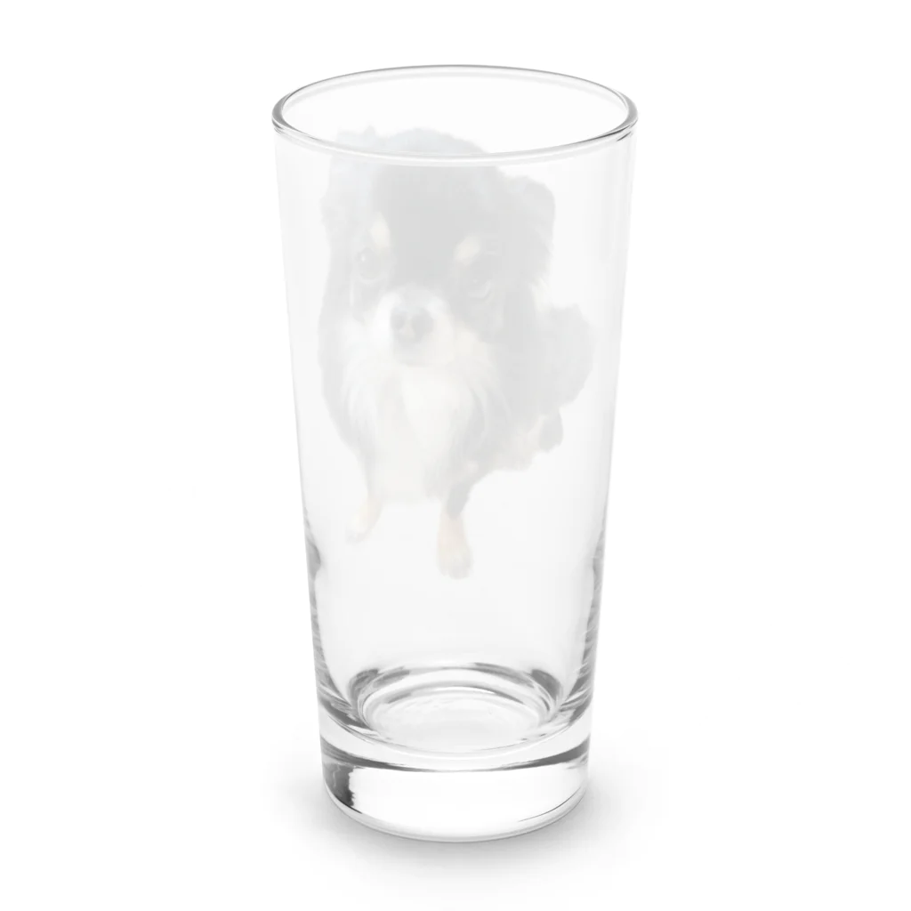 ちわわのりんちゃんのちわわのりんちゃん Long Sized Water Glass :back