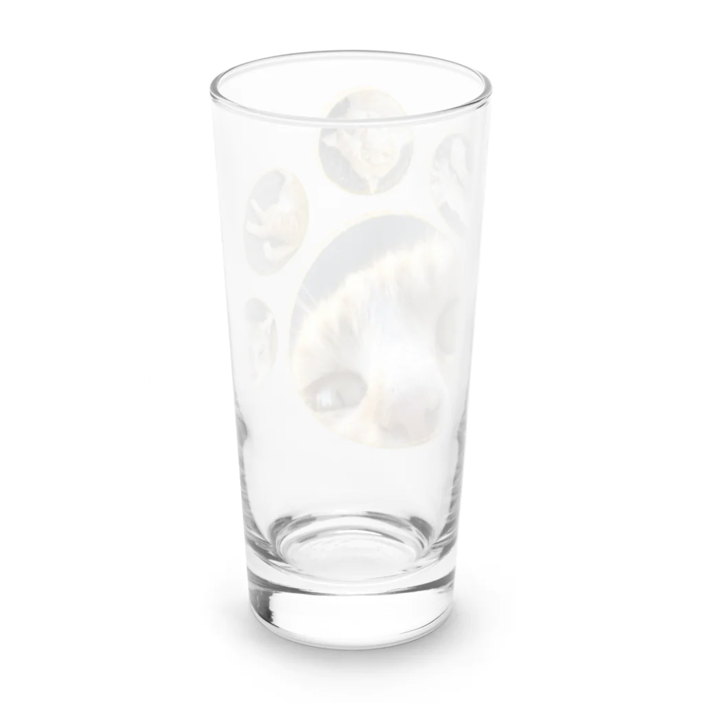 猫ねむりzzz..の茶白猫ちゃんのドアップ  Long Sized Water Glass :back