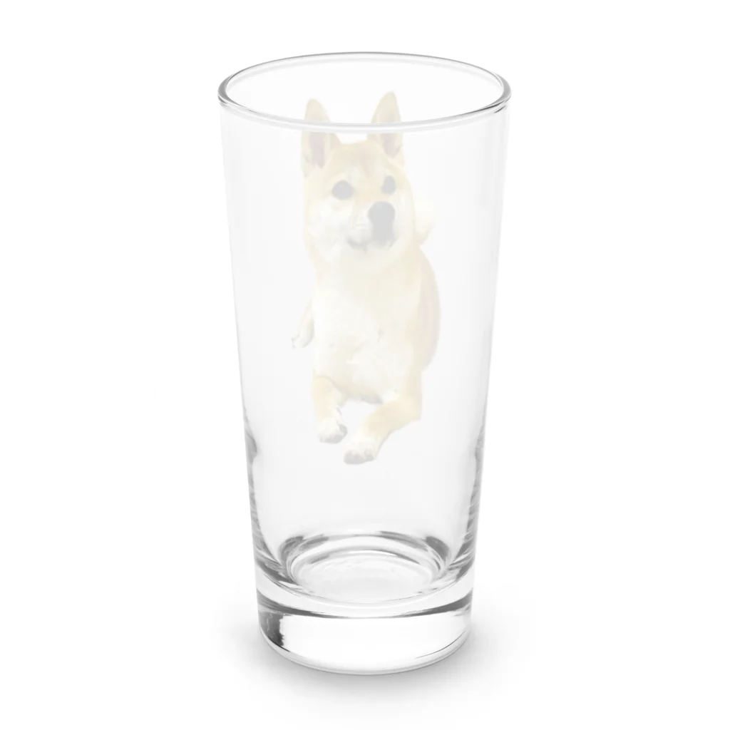 柴犬おかゆのグッズ販売店の柴犬おかゆ Long Sized Water Glass :back