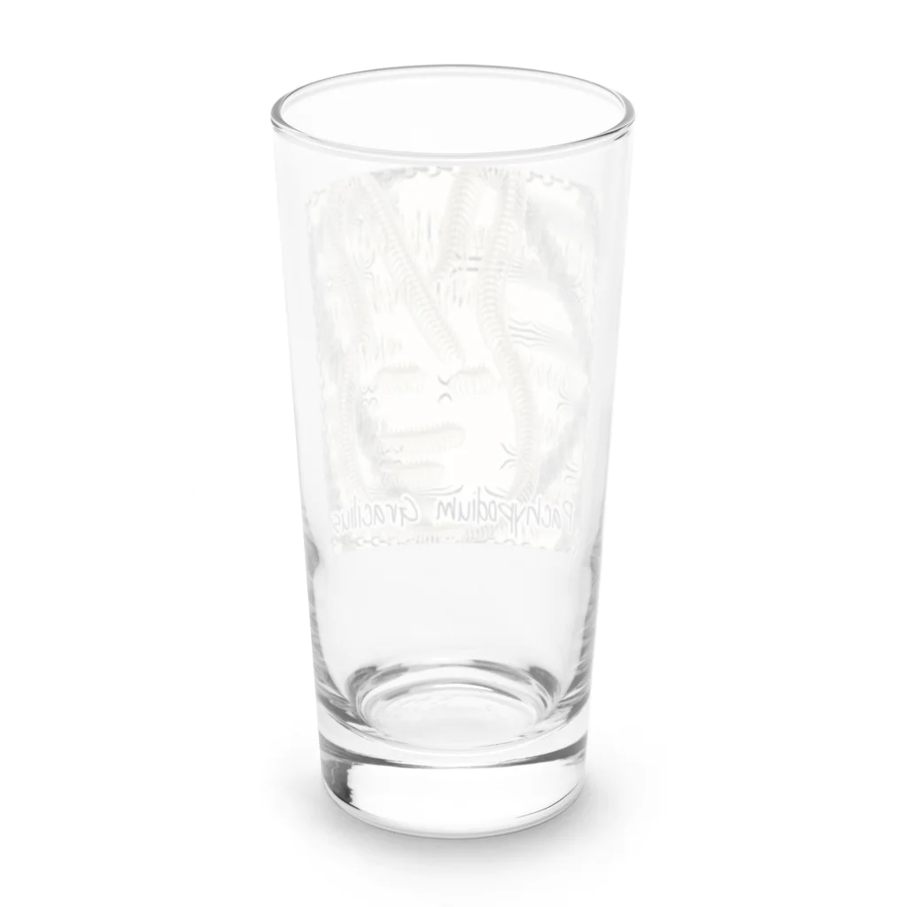 パキポキさんのPachypodium Gracilius  Long Sized Water Glass :back