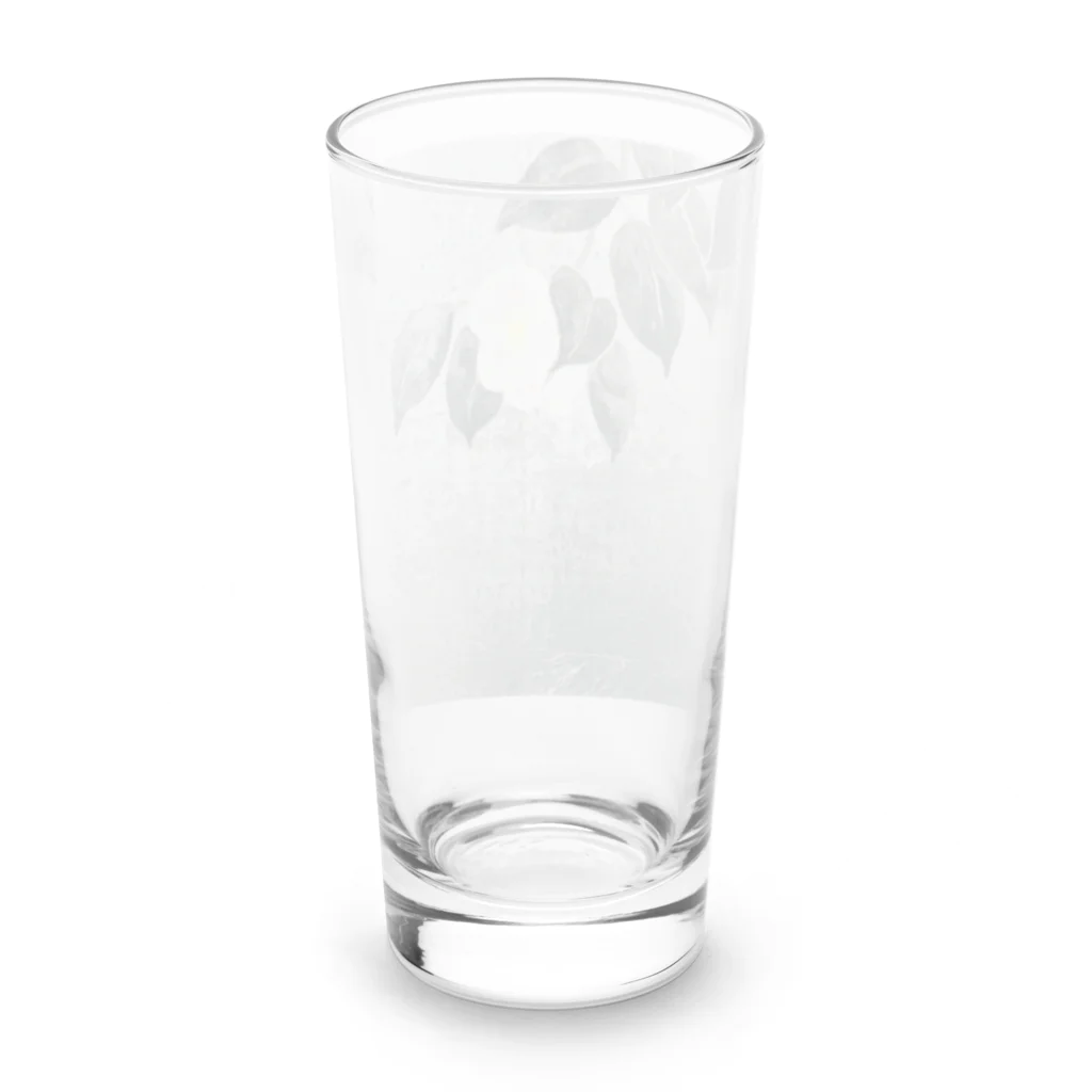 mothofthesunの白椿 Long Sized Water Glass :back