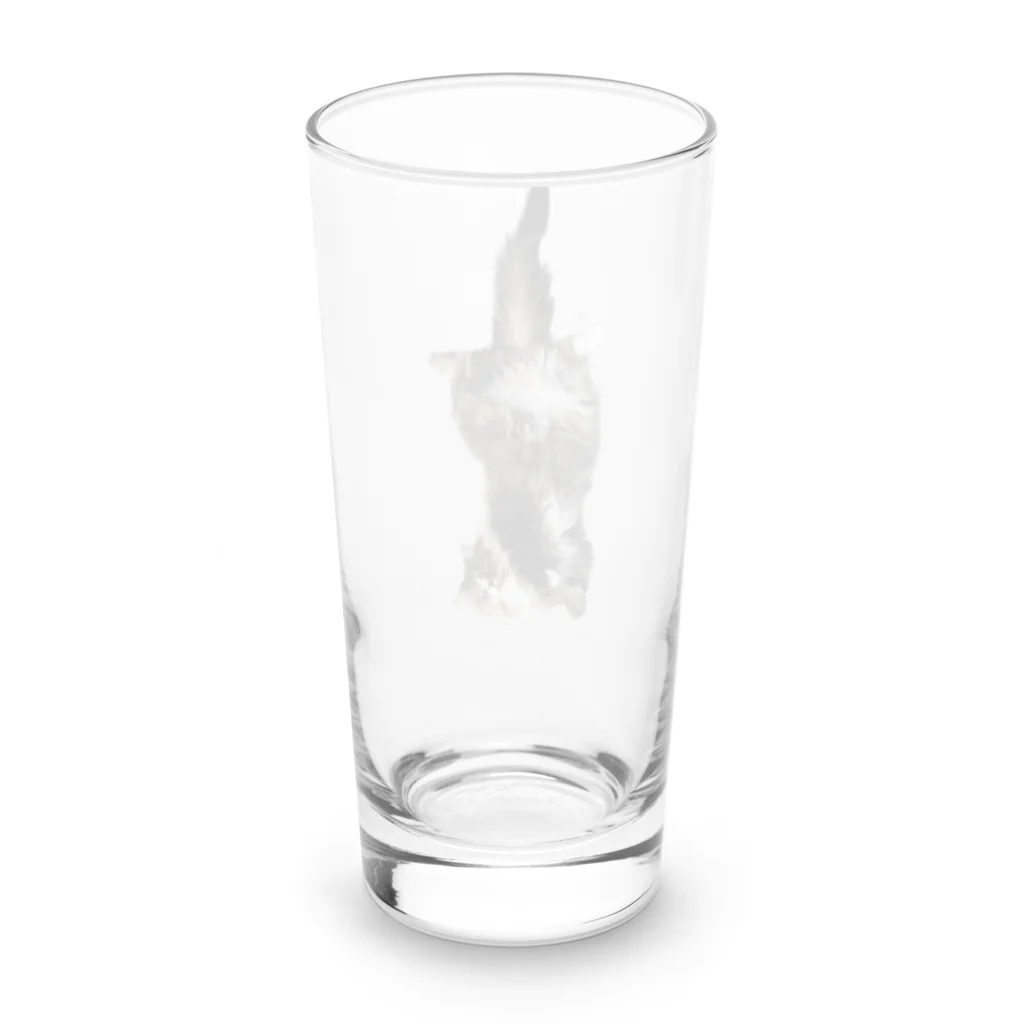 momoとGabrielのGabriel Long Sized Water Glass :back