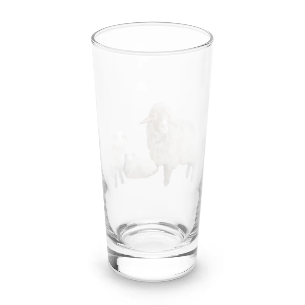 旅するナースの仔羊ルミ子 Long Sized Water Glass :back