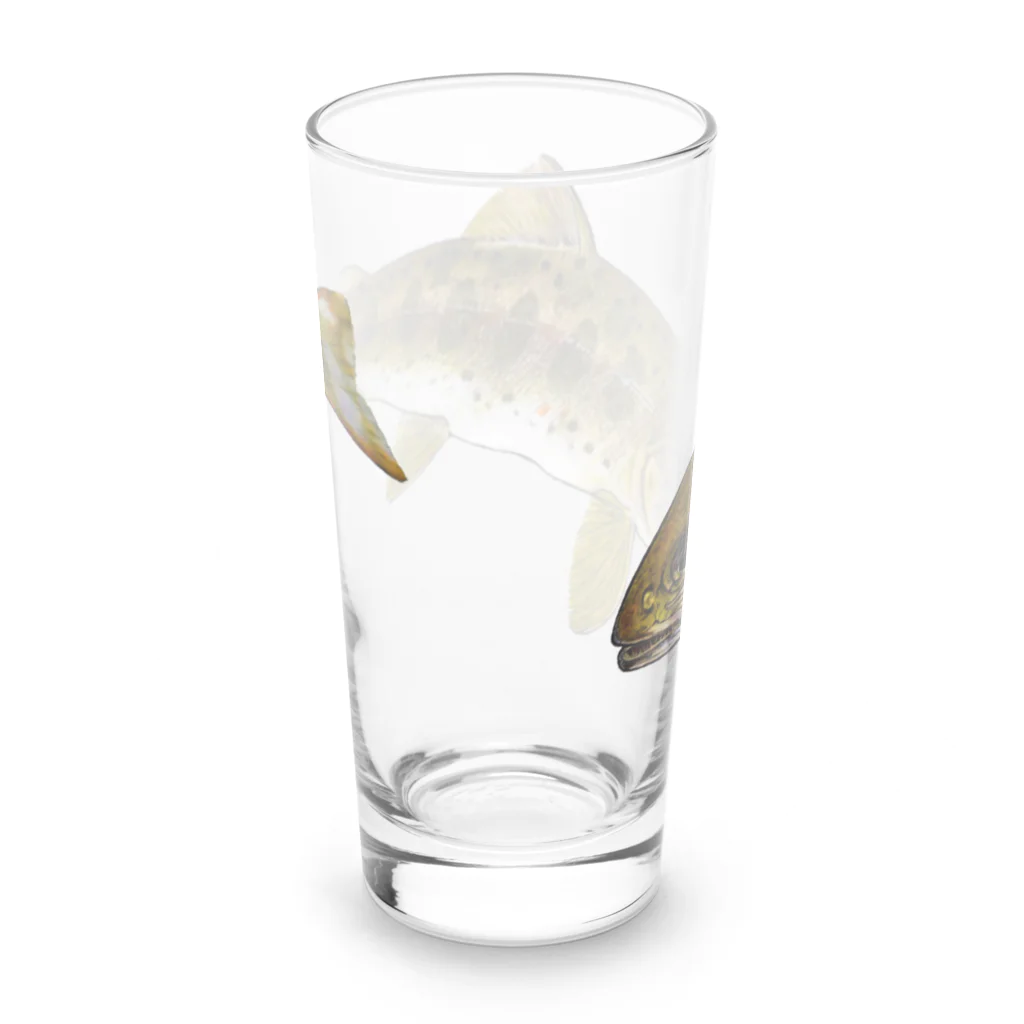 魚…ですか？のアマゴ Long Sized Water Glass :back