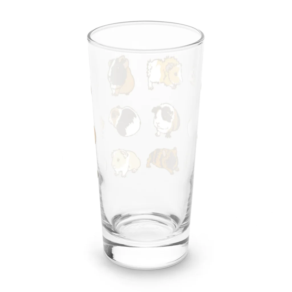 Lichtmuhleの2023モルモットカレンダー大集合01 Long Sized Water Glass :back