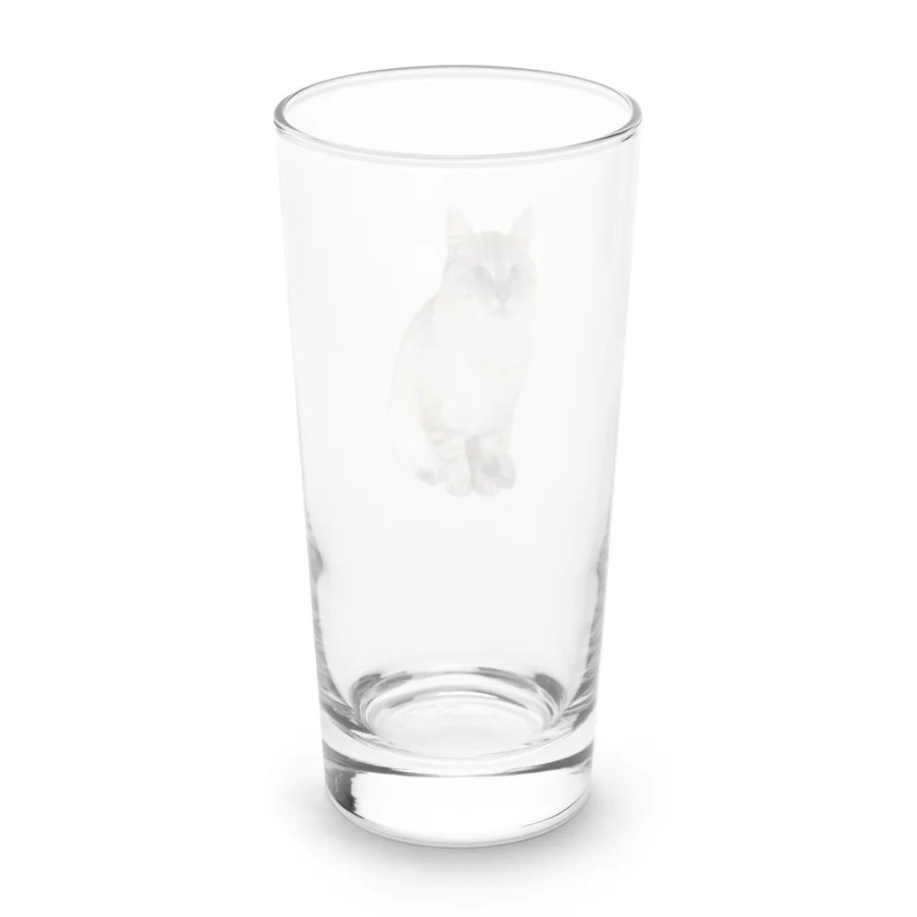 元野良猫しらたまグッズの元野良猫しらたま Long Sized Water Glass :back