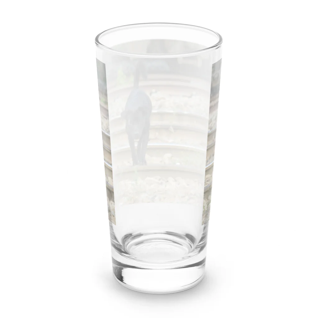 Second_Life_of_Railwaysのタイの鉄道旅行で出会った国鉄の線路がテリトリーの野良犬 Long Sized Water Glass :back