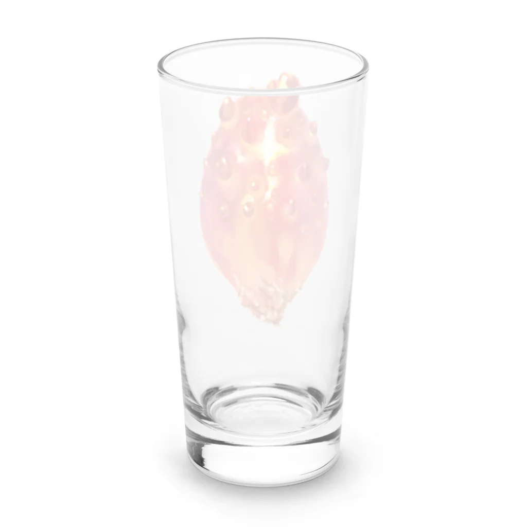 カンダ商店のほや Long Sized Water Glass :back