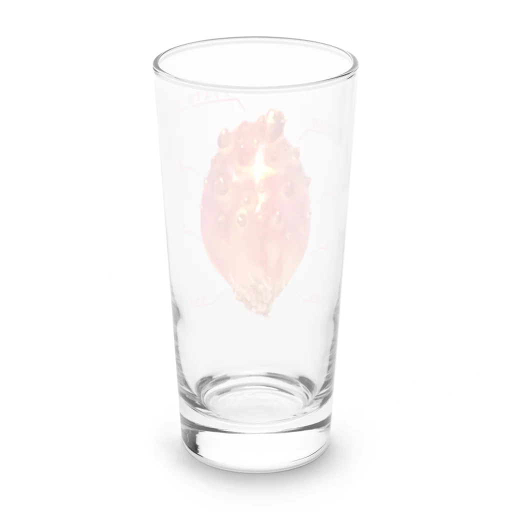 カンダ商店のほや(栄養素)  Long Sized Water Glass :back