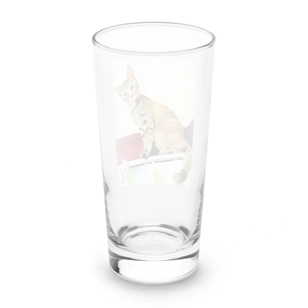 コハクのカーテンレールからニャンコ🐱 Long Sized Water Glass :back