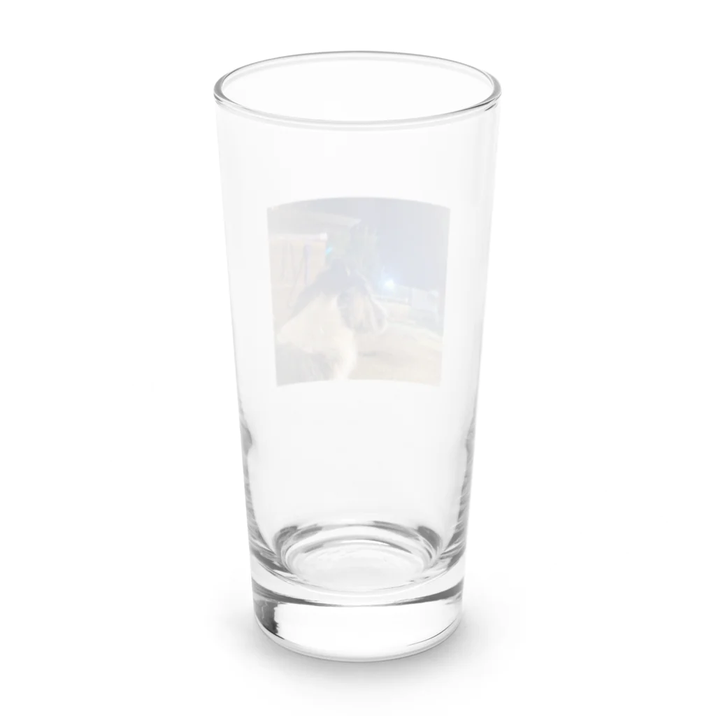 _masa_masa_のスタッフォードシャーテリア Long Sized Water Glass :back