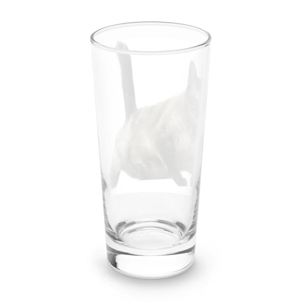 QDAのSLY Long Sized Water Glass :back