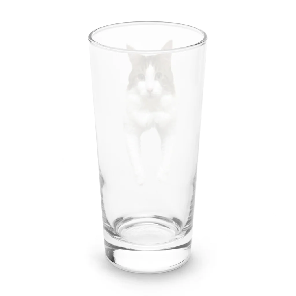 Diamondの猫のダイヤ Long Sized Water Glass :back