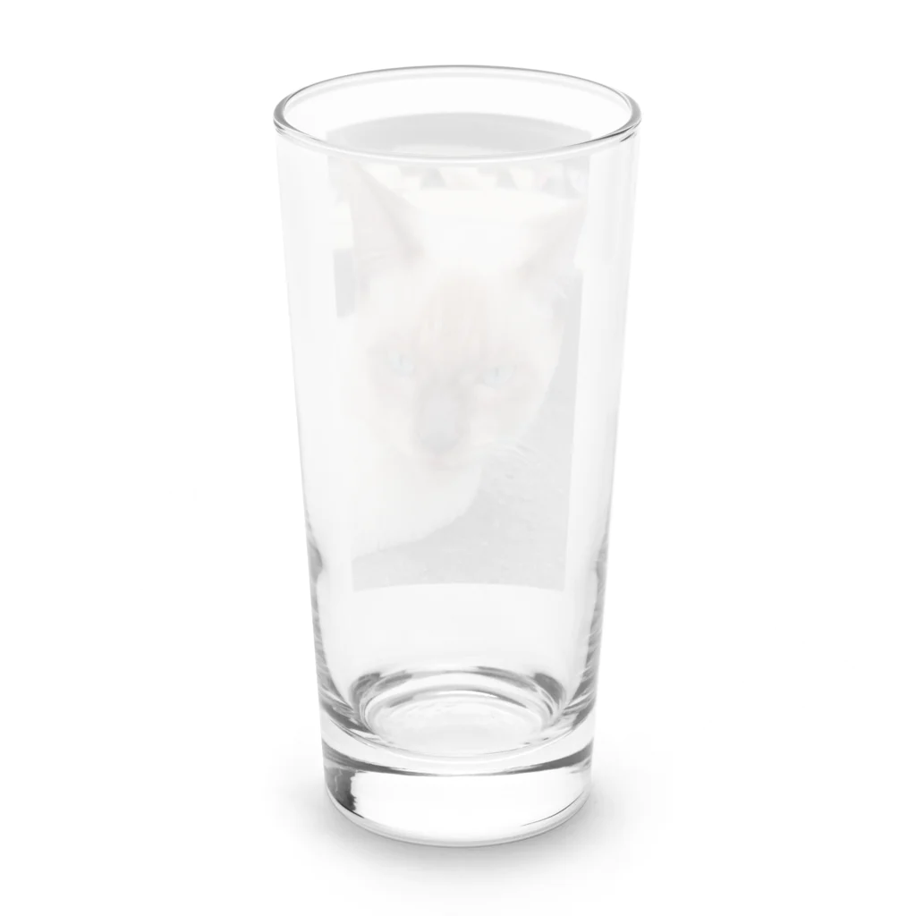 Makoto_Kawano Designの悪そうなのにカワイイ猫ちゃん Long Sized Water Glass :back