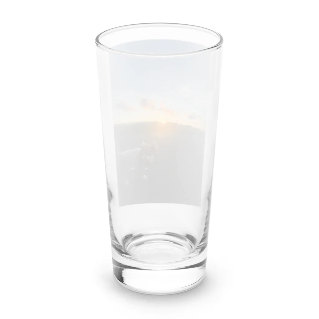 保護犬ミミの保護犬ミミ　インスタ使用画像 Long Sized Water Glass :back