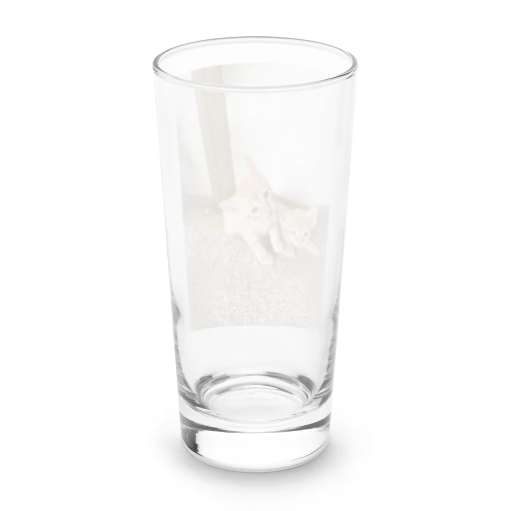 ANAROGUの可愛い猫 Long Sized Water Glass :back