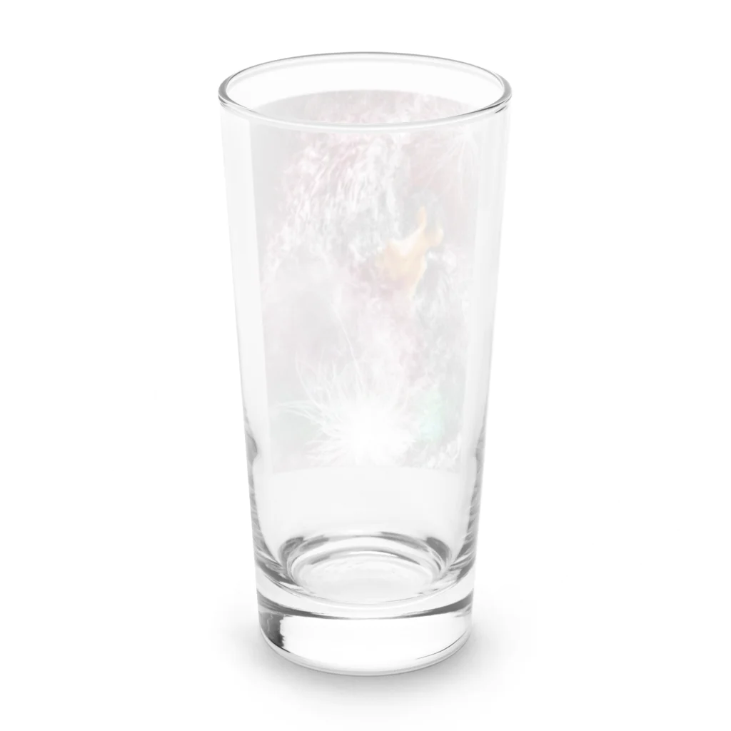 MUNE-KUNのMUNEクン アート ロンググラス 069 Long Sized Water Glass :back