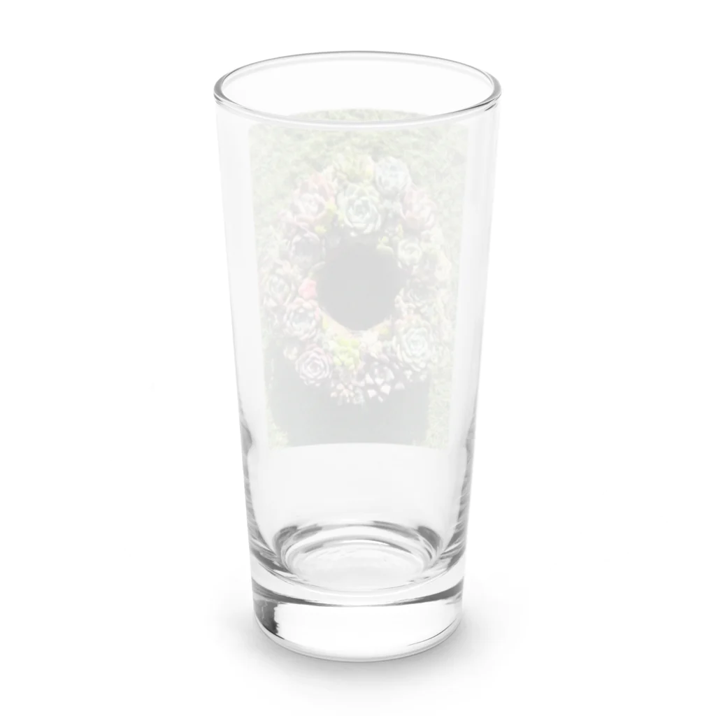 Echeveria_Masterの多肉のリースちゃん♡ Long Sized Water Glass :back