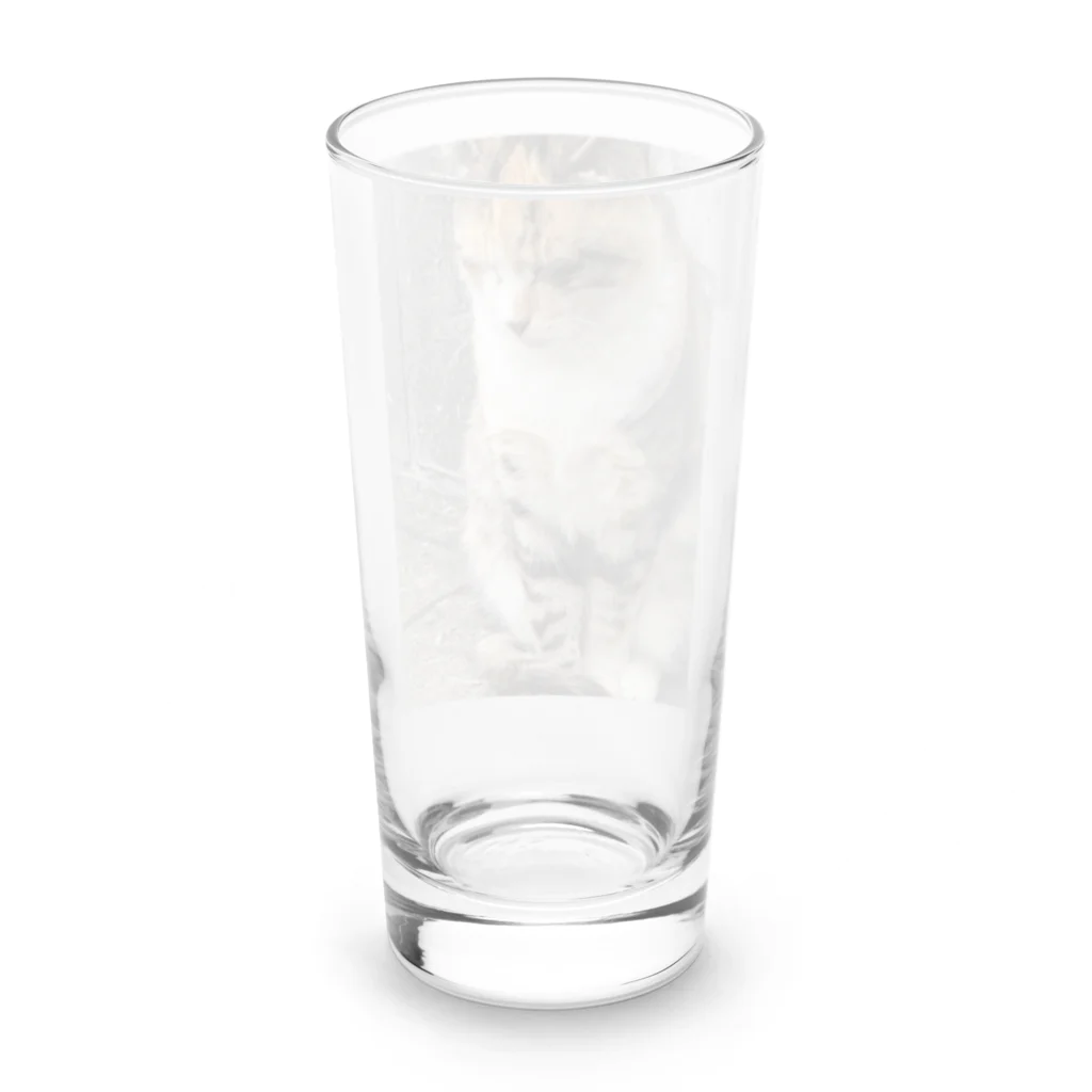 Uターン柴の立ち寝ネコ Long Sized Water Glass :back