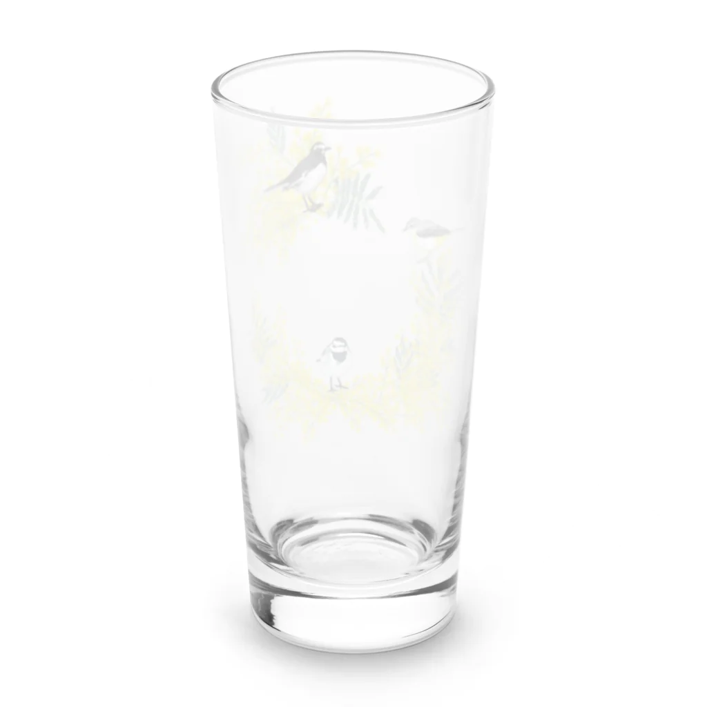 やちよ｜リアル鳥イラストの鶺鴒さんとミモザのリース（枝なし） Long Sized Water Glass :back