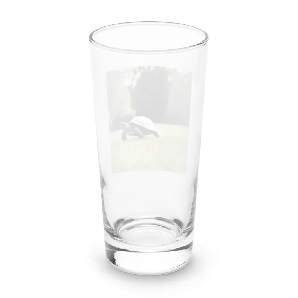 hinn-ketuの４、カメのお散歩 Long Sized Water Glass :back