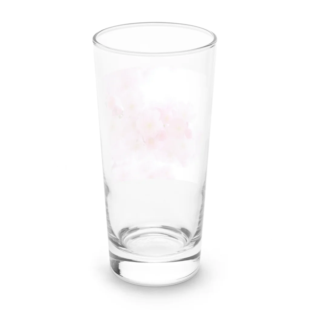 SHIMIZUの桜 Long Sized Water Glass :back