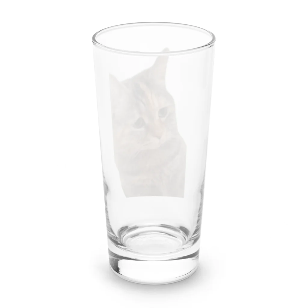 猫ミームグッズの【猫ミーム】叱られる猫 Long Sized Water Glass :back
