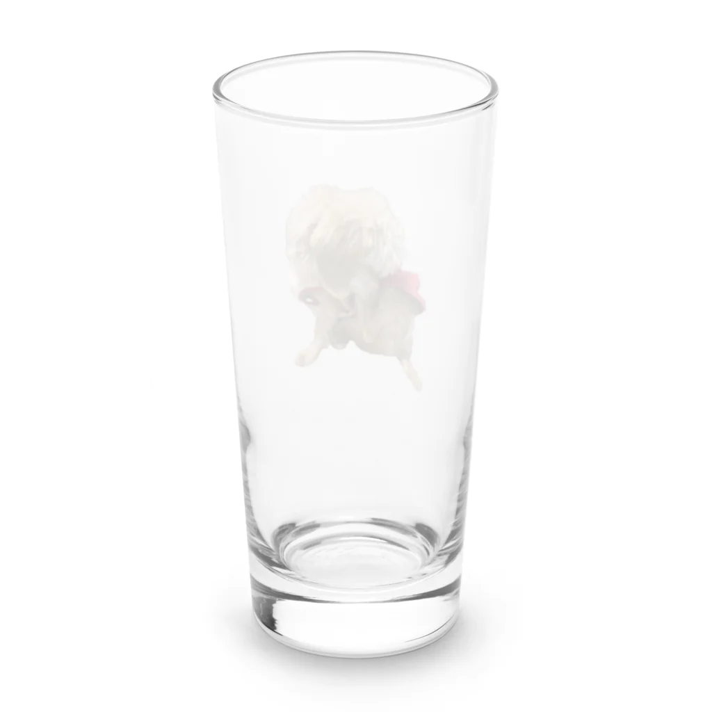 Ruice-Iceの犬　ガジガジ Long Sized Water Glass :back