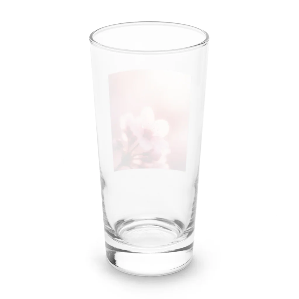 Japan-sakuraの春の訪れ Long Sized Water Glass :back