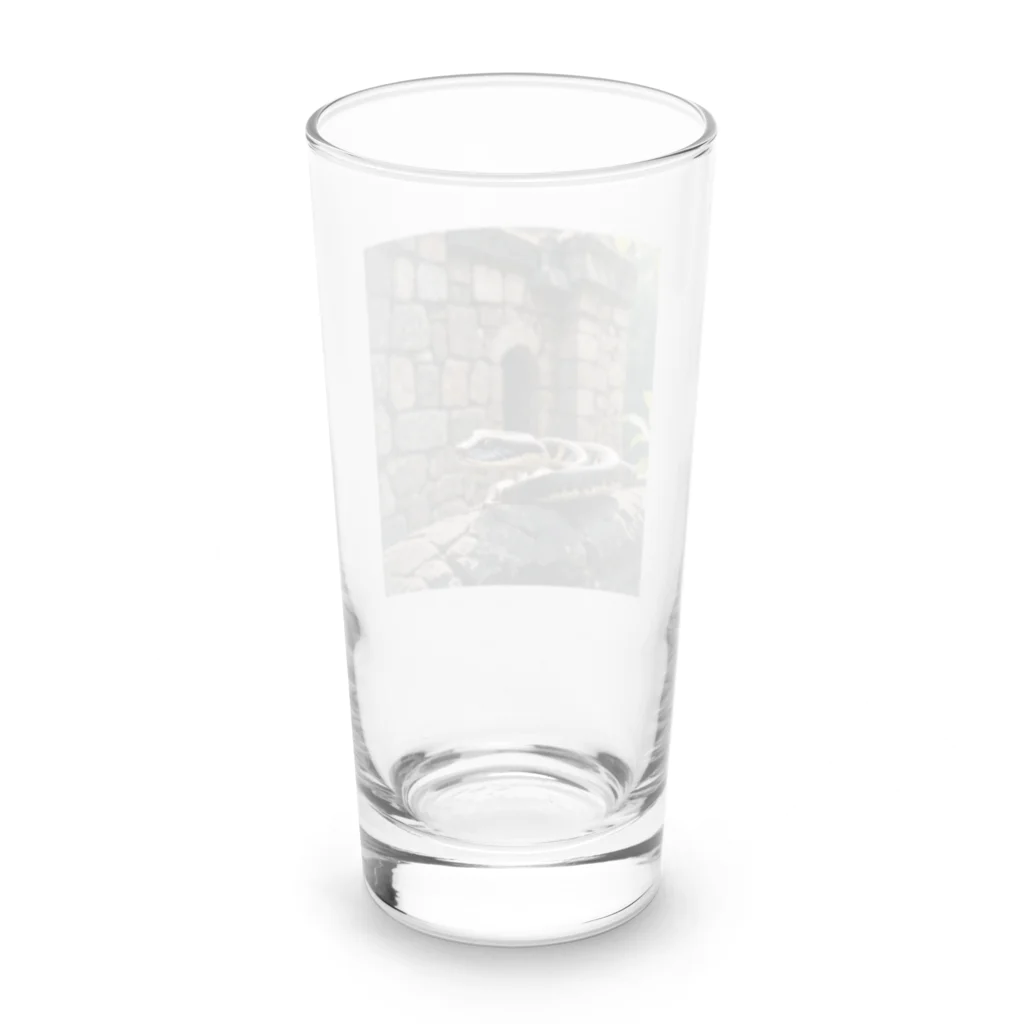 TakeKAKEの国外逃亡をはかる蛇 Long Sized Water Glass :back