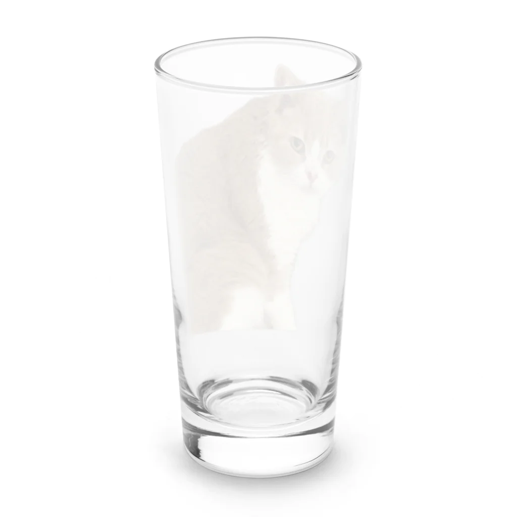 Mashlyのマシロくん猫グッズ Long Sized Water Glass :back