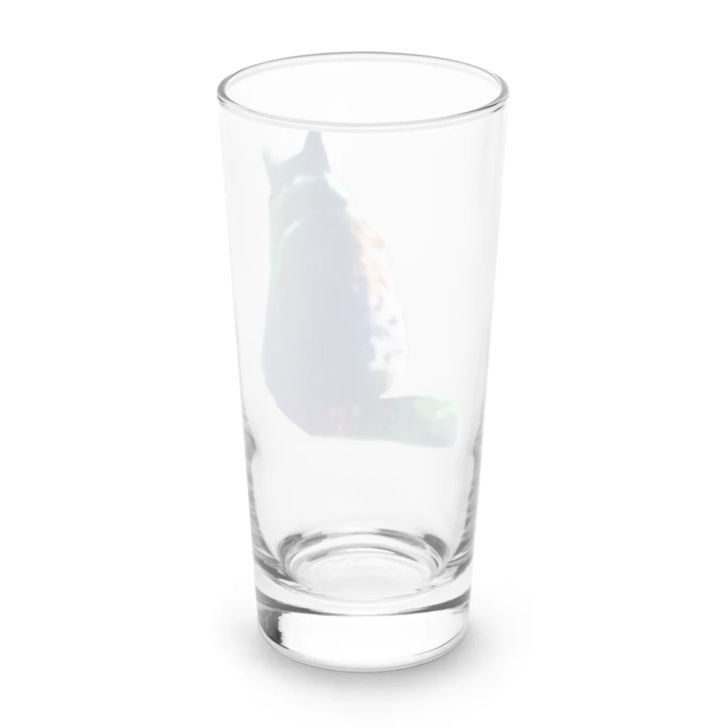 猫に恩返しのTORA Long Sized Water Glass :back