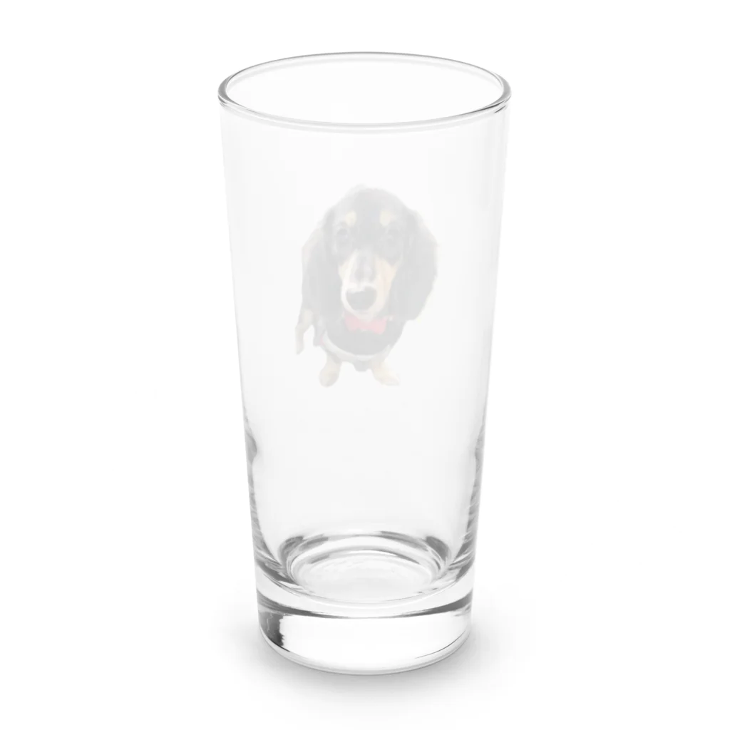 神崎エリカとはやとのグッズのカニンヘンダックスの隼人くん Long Sized Water Glass :back