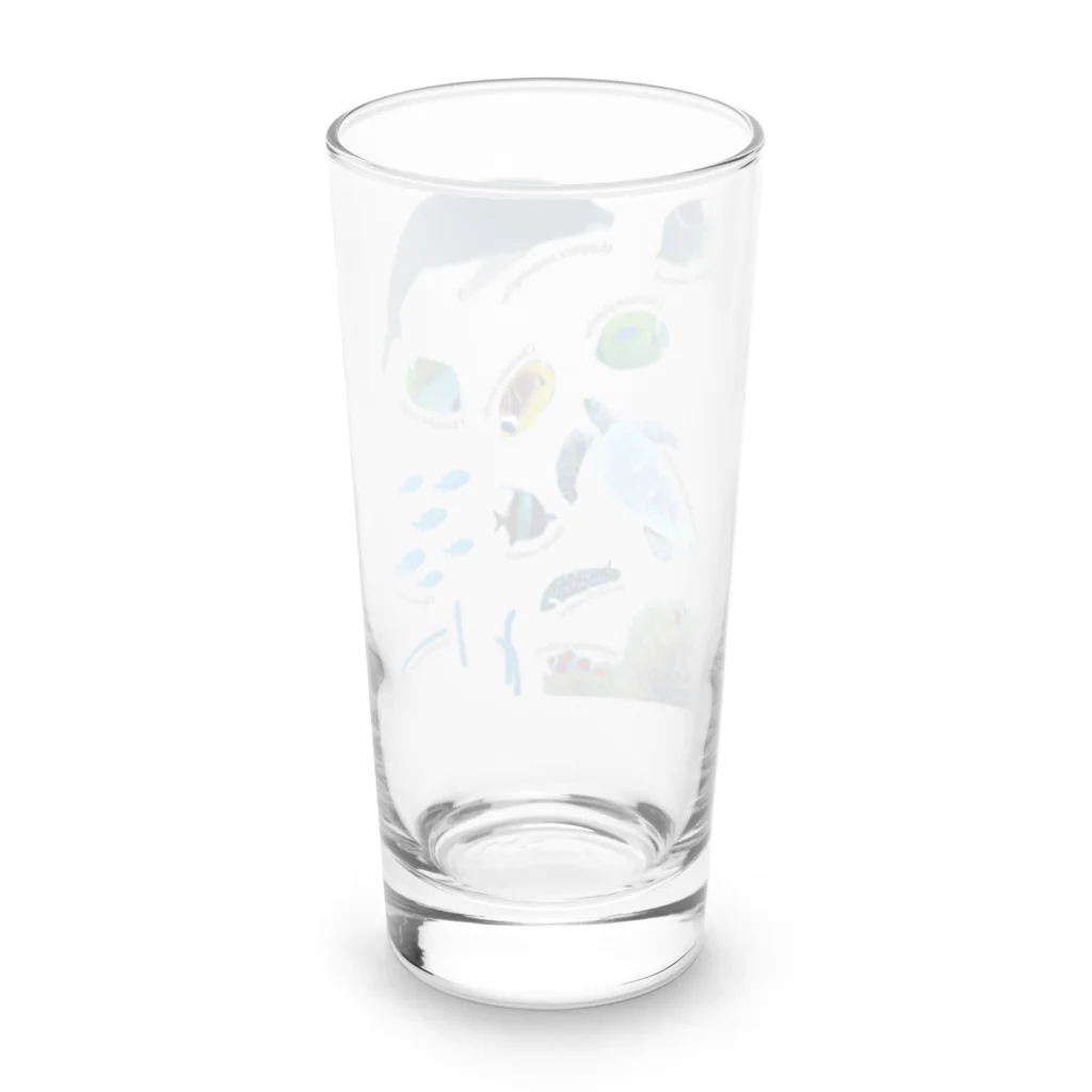 L_arctoaの沖縄の海の生き物 Long Sized Water Glass :back