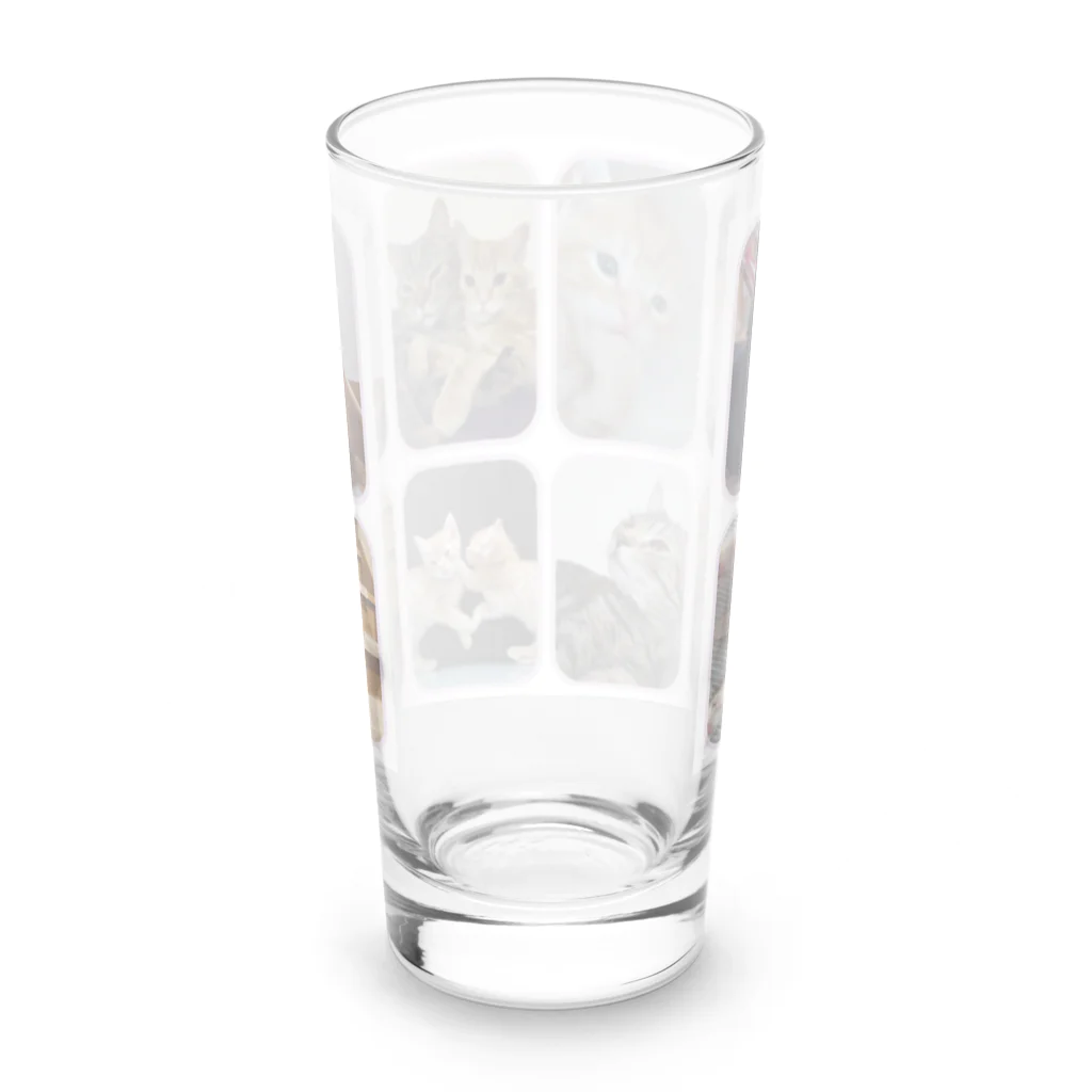 サーバルさんと仲良し家族😻のにゃんこ大集合 Long Sized Water Glass :back