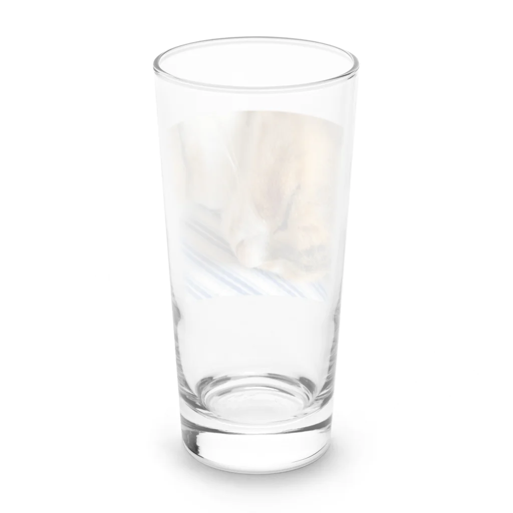 ねこちゃんが大好きなのです。の愛猫れいにゃんのグッズ Long Sized Water Glass :back