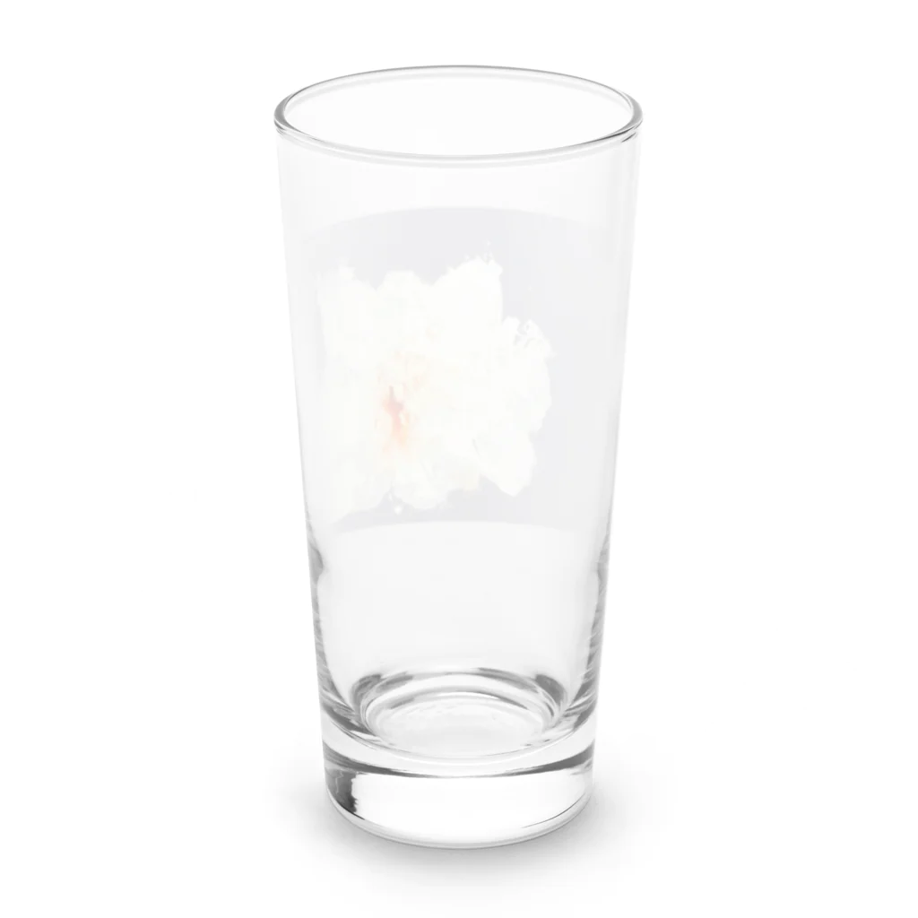 HAREBAREのAO Long Sized Water Glass :back