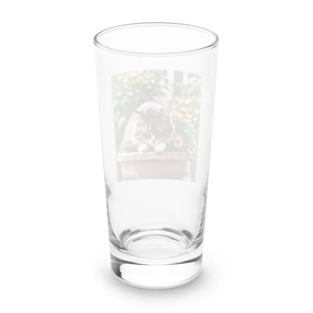 amaneiro___のお花の上でくつろぐ猫 Long Sized Water Glass :back