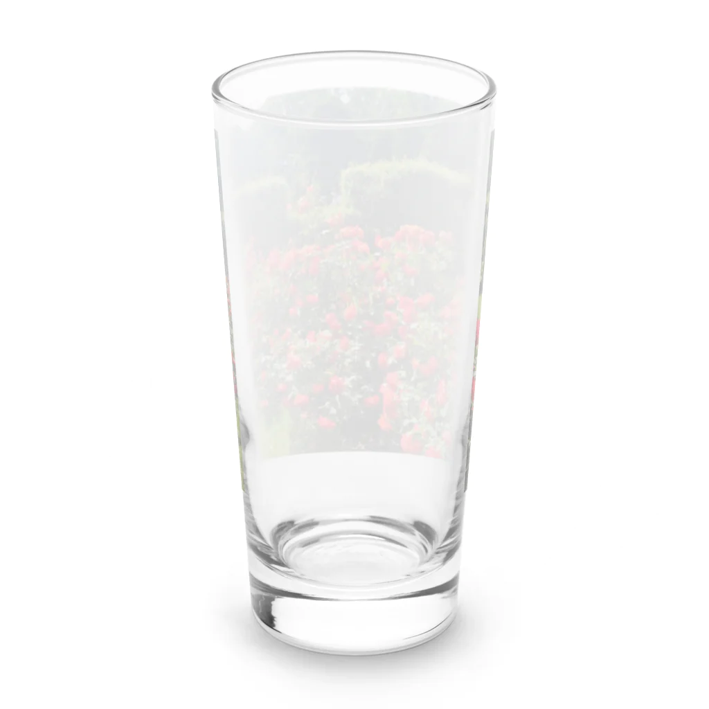 A.santeの薔薇が咲いたよ Long Sized Water Glass :back