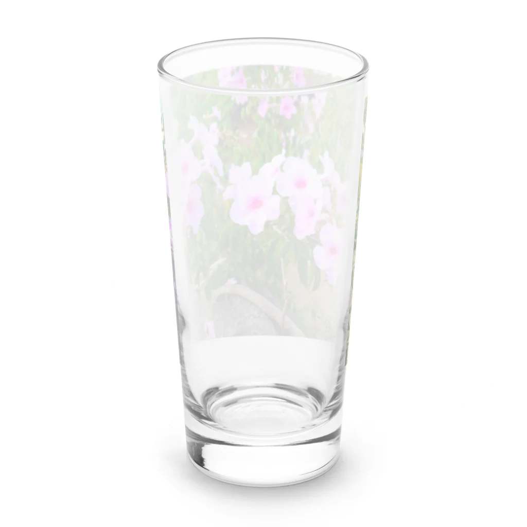 終わらない夢🌈の実写シリーズ【初夏の美しい花🌸】 Long Sized Water Glass :back