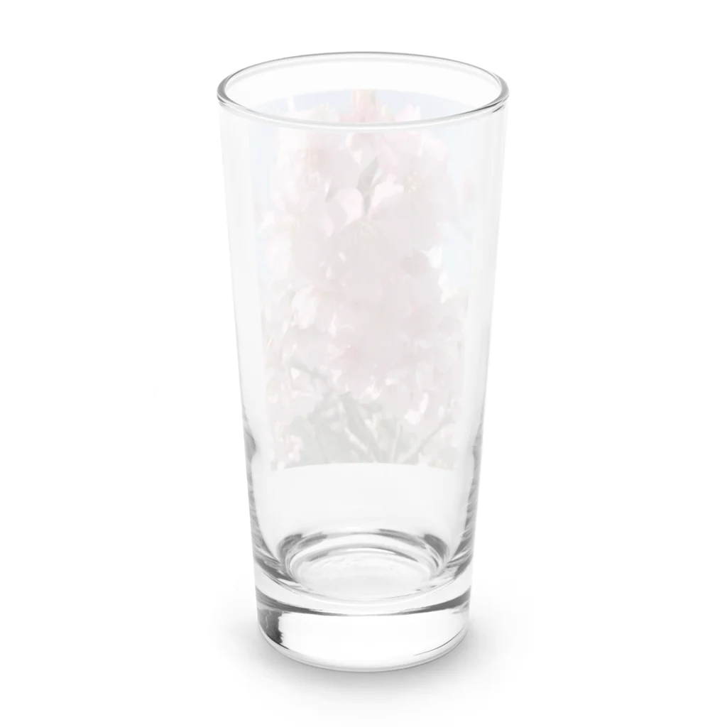 mizuiro-8556のさくら Long Sized Water Glass :back