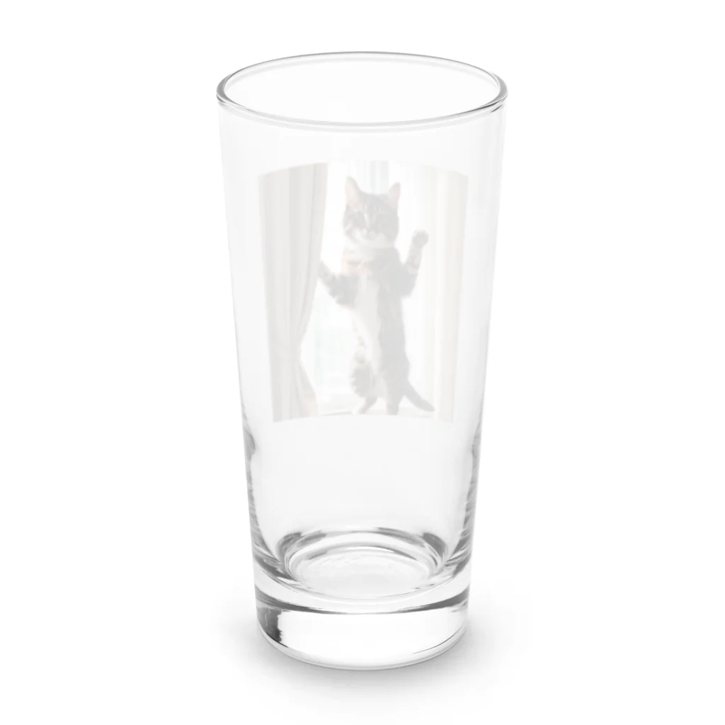 DQ9 TENSIのカーテンと遊ぶ愛らしい猫ちゃん Long Sized Water Glass :back