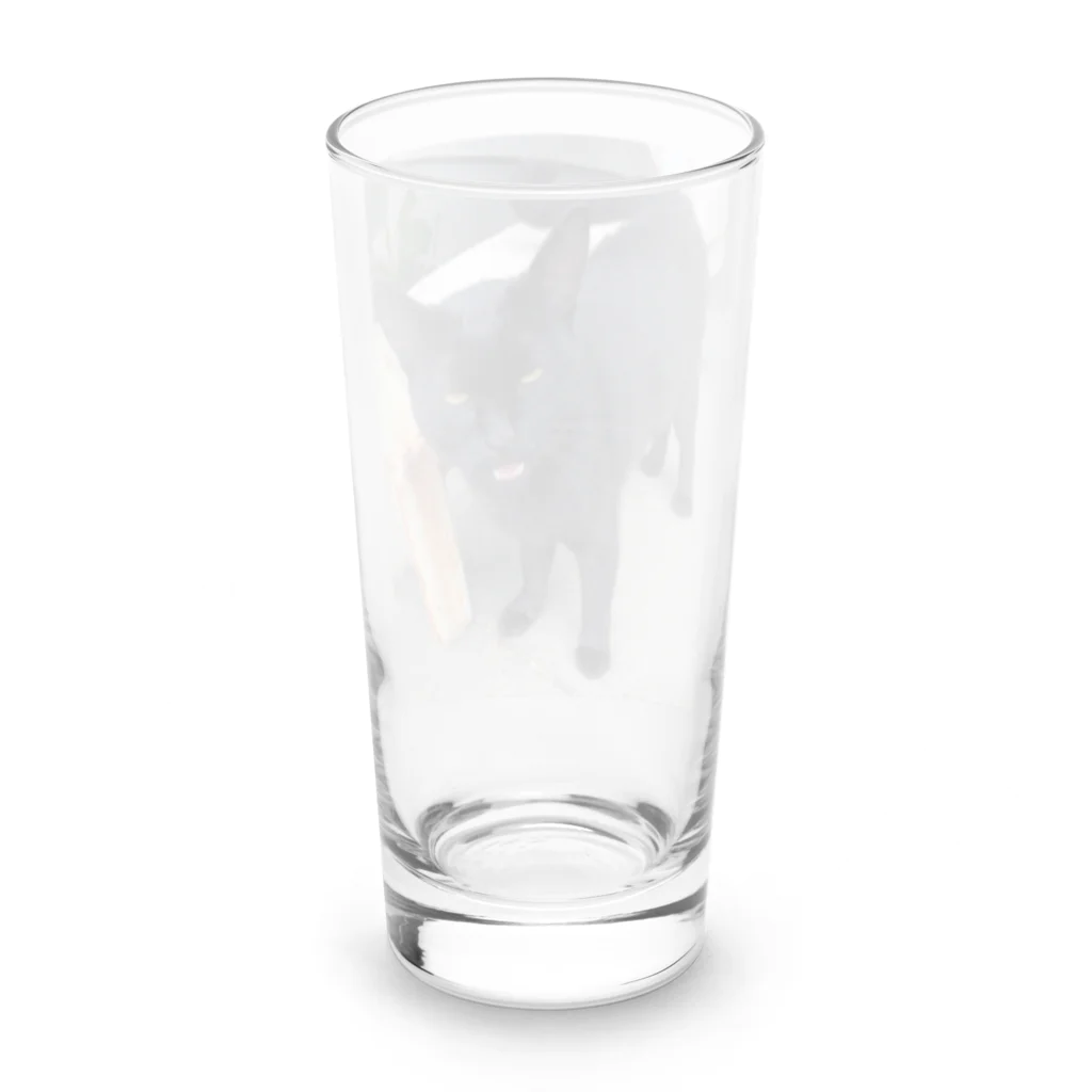 nightwalkerの黒ひょうぜッッ！ Long Sized Water Glass :back